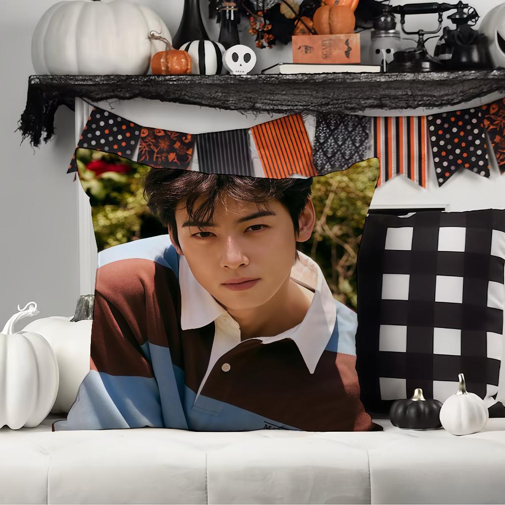 Korean Singer C-Cha E-Eun-W-Woo Pillow Case Office Cushions Suitable For Sofa Car Bedroom Decorative Cushion Cover