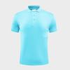 Custom Quick-Dry Lapel Polo Shirt - Short Sleeve, Solid Color, Perfect for Workwear and Summer Sports