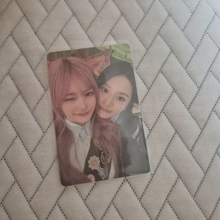 

Ive 2025 Scout Liz Eugene