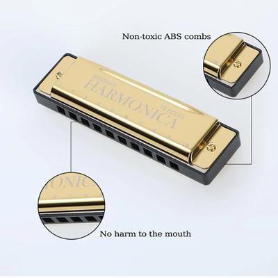 10 Hole Colorful Harmonica Metal Mouth Organ for Beginners Students Kids Adults Self Learning Portable Musical Instrument Gift