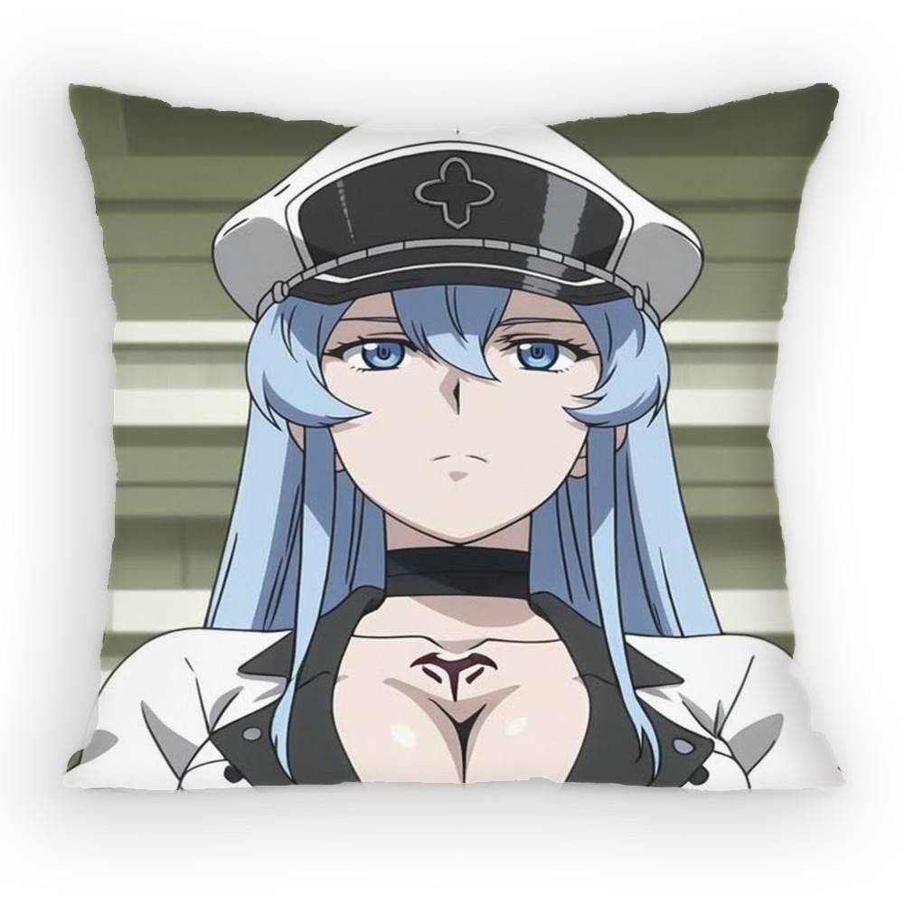 Akame ga KILL! Esdeath Pillow Case Anti-dustmite Pillowcase Invisible zipper silky short plush Sofa cushion cover