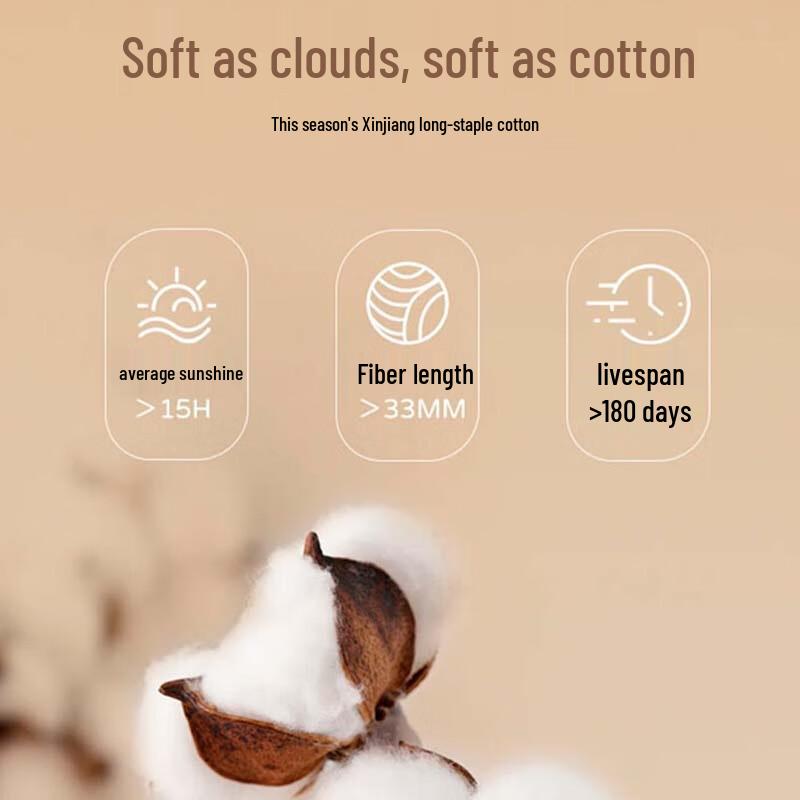 TRIES Men's Round Neck Casual Sweatshirt 88251E0810