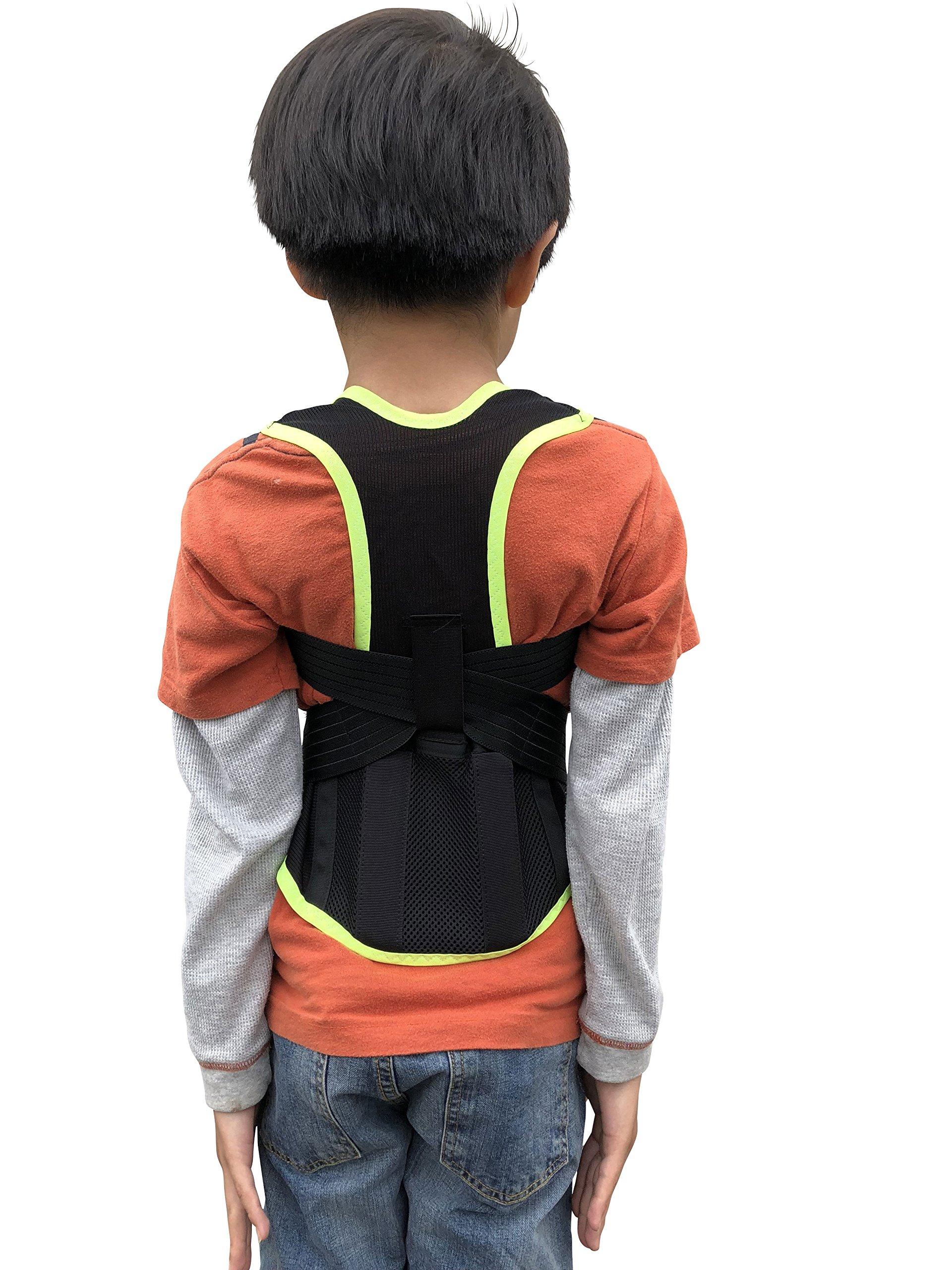 

Доступ к Senobiru Kids (Супер мягкий) Юношеский размер, тип для долгосрочного использования