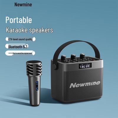 Newsmy K519 Tragbarer Karaoke Bluetooth Lautsprecher CN Stecker (Adapter enthalten)