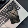 H-Hollow Knight Silksong Phone Case For iPhone 17,16,15,14,13,12,11,Pro,XS,Max,Plus,Mini,SE4,E Black Matte Shockproof Cover