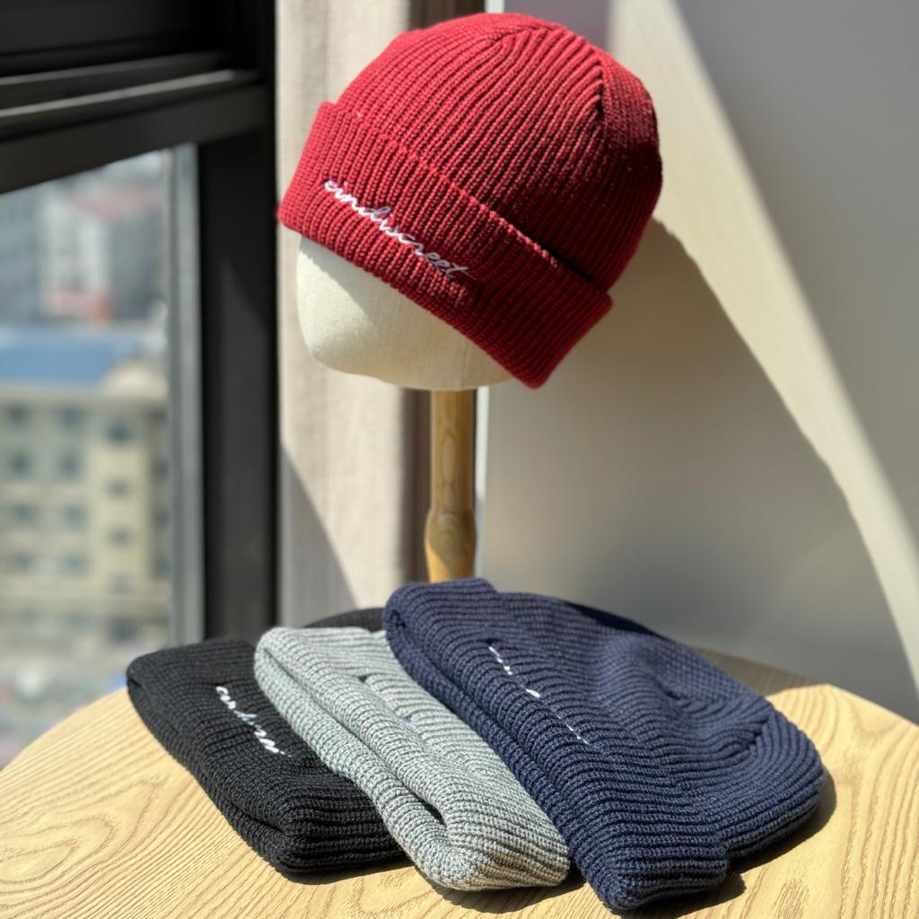 New Autumn and Winter Warm Knitted Wool Hat Women's Fashionable Warm and Cold Proof Pullover Cold Hat Student Cycling Ear Protection Hat