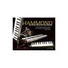 HAMMOND PRO-24B Key Harmonica, Acoustic-Electric Bass Model