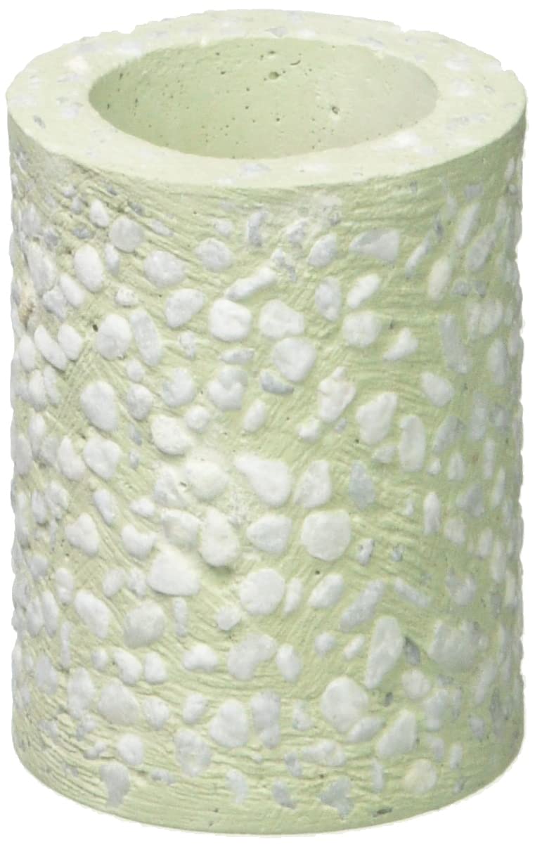 

soil Diatomaceous Earth Toothbrush Stand Mini Green