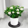 Yousheng 3 Pack Plant Level Pot Elevators Flower Pot Tray Planter Stands Patio Deck Floor Protector Plant Pot Feet Risers