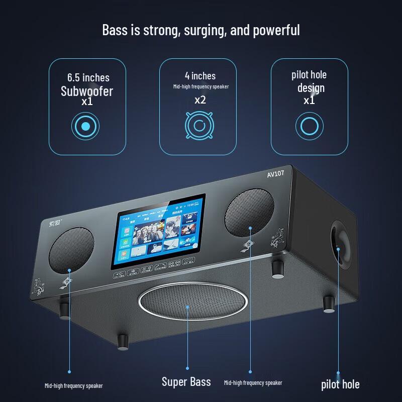 Soaiy SA-AV107 Home KTV Audio System CN Plug (adapter Included)