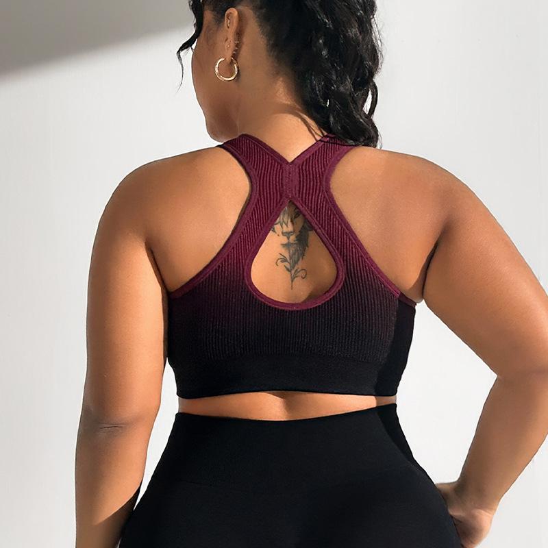 Women's Gradient Sport Shockproof Running Vest Bra with Front Zipper for Fitness & Yoga