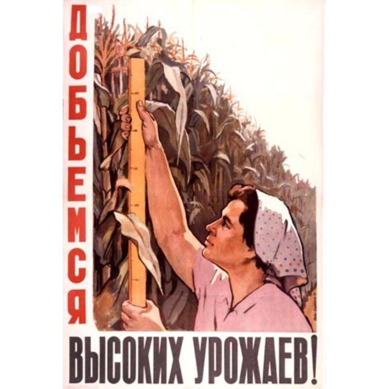 Metal Wall Poster, Agricultural Art, Decorative, 20x30cm