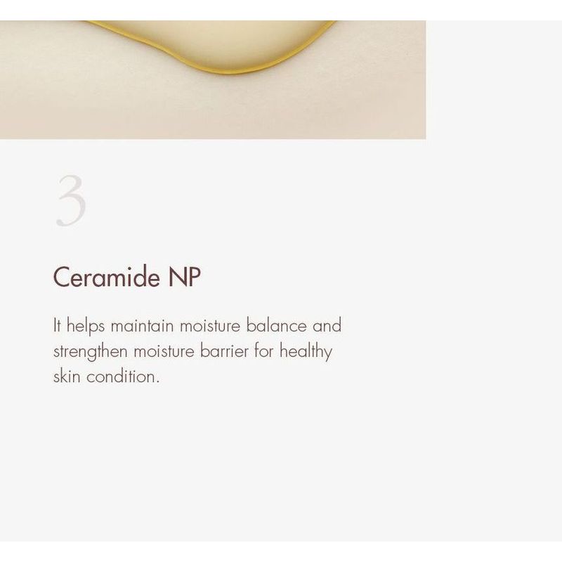 DR. Ceuracle - Veganer Kombucha Tee Lippenbalsam