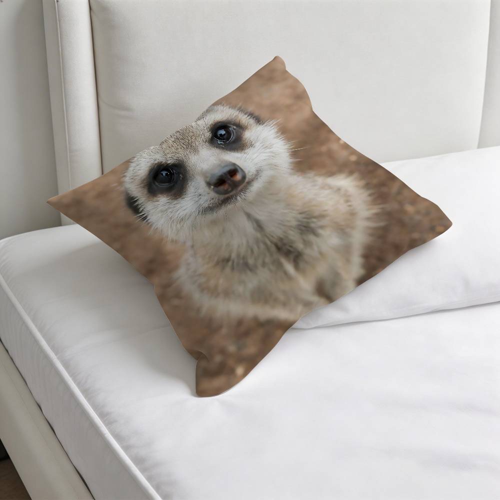 Cute Baby MMeerkat Fashion Square Pillow Case Durable Throw Pillow Cover for Sofa Couch Chair