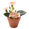 Miniature food toy plants, potted plants, mini models, artificial flowers 12 parts ob11 Gardening dollhouse Ceramics diy