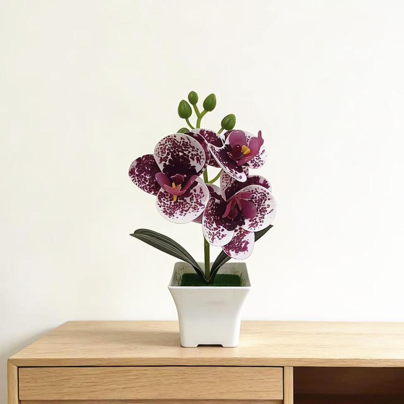 Butterfly Orchid Artificial Plant With Plastic Material For Home Decor And Photography Props