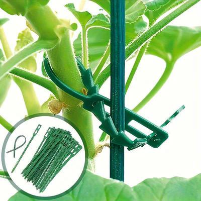 Bridas de Cremallera Verdes Reutilizables Ajustables para Jardinería, para Plantas en Maceta, Flores, Enredaderas, Melones y Frutas