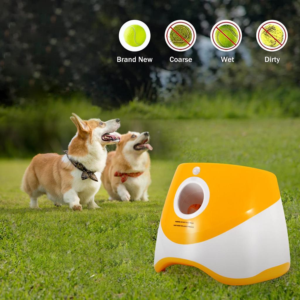 Lanciapalle automatico per animali domestici per gatti e cani – Include 6 palline da tennis per giocare all'aperto