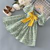 Girls Summer Chiffon Floral Dress Short Sleeve Korean Princess Dress for Toddlers