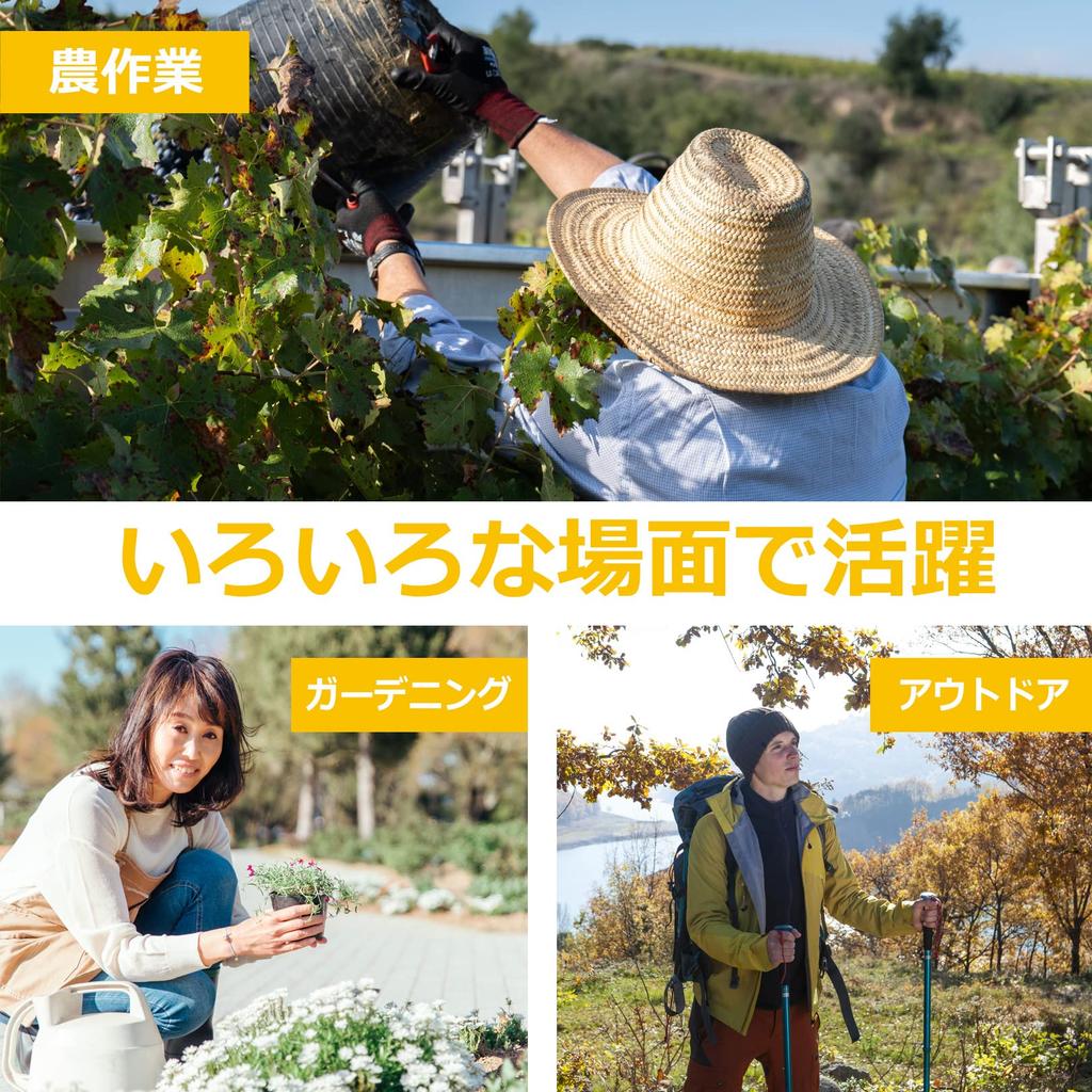 Sac Taske Insect Repellent Full Body Wear with Insect Netting, Hoodie and Pants, Protective Clothing for Weeding (Size M)