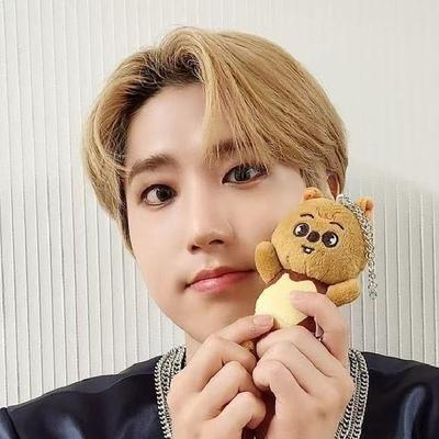 Nouveaux Porte-clés Peluche Stray Kids Figurine Pendentif Porte-clés Charme Porte-clés Décoration de Sac