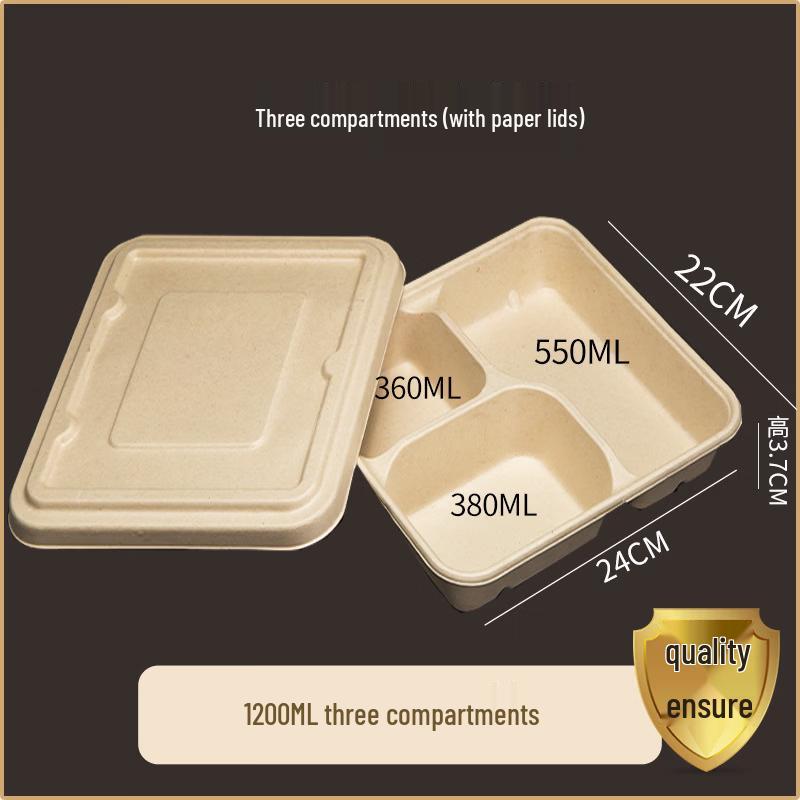 Disposable 3-Compartment Paper Pulp Food Container