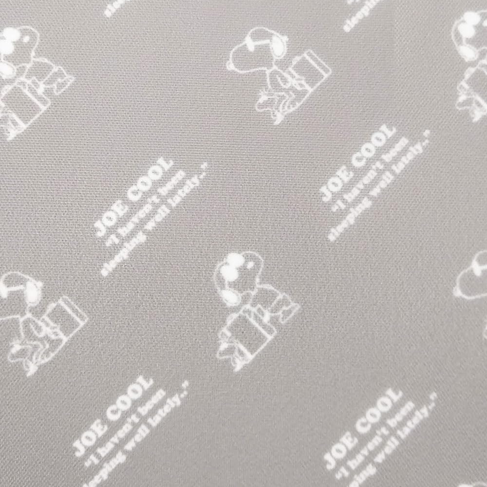 SNOOPY Wallet Neck Hanging Belt Wallet Shoulder Vertical Multiple Storage Strap Card Cute Character Snoopy Stylish JC Blue Line Gray Women's