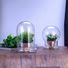 Fresh-keeping Micro Landscape Bottle Dust-proof Transparent Glass Cover  Bedroom