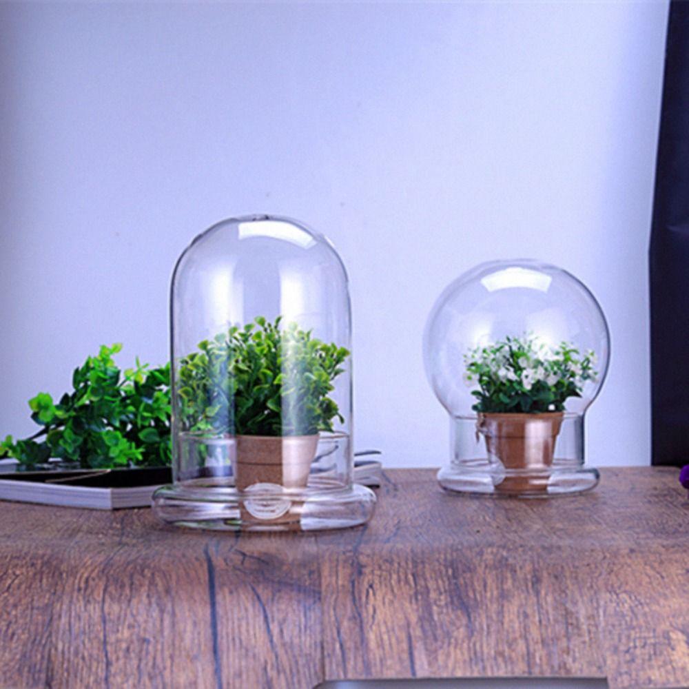 Fresh-keeping Micro Landscape Bottle Dust-proof Transparent Glass Cover  Bedroom
