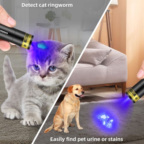 DARKBEAM UV Flashlight, 365nm Blacklight, Mini & Powerful Wood's Lamp, USB-C LED Rechargeable Blacklight Flashlight, Pocket Pet Dog Urine Detector - F