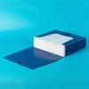 1 Pack Portable Durable A4 Plastic File Box – Dark Blue 1.38inch/2.17inch Document Organizer for Office, School, Home – Stores