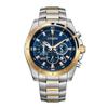AN8206-53L Analog Men's Watch Blue Dial