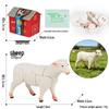 4D Insect Model Toy Set: Ladybug, Stag Beetle, Centipede, Ant, Fly, Mantis