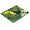 Toucan Multifunctional Tempered Glass Kitchen Decorative Board 60x52 Cm