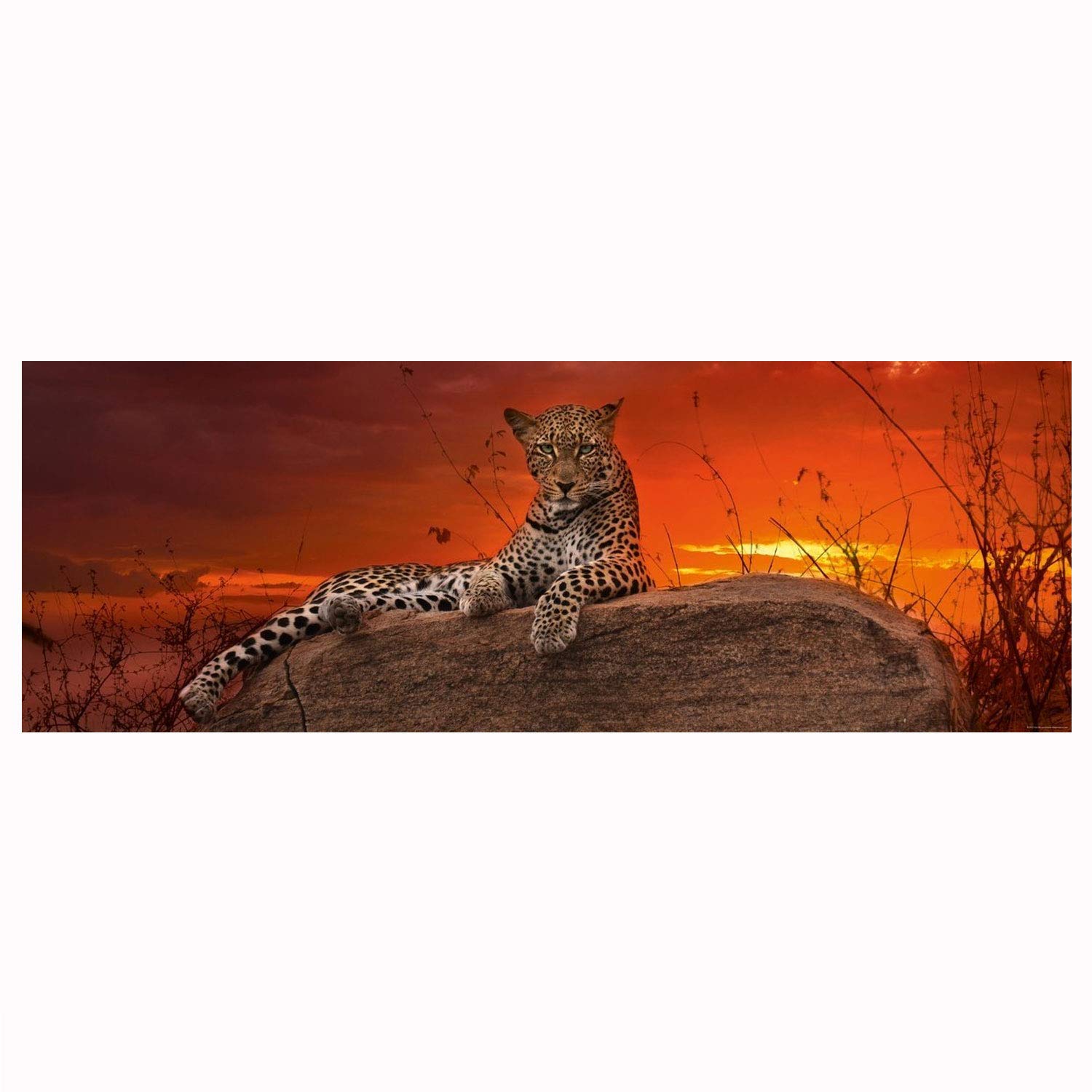 

HEYE Puzzle 29608 Alexander von Humboldt: Red Dawn (2000 pieces)