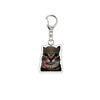 1PC Acrylic Cute Keychains Cats 2D Flat Backpack Ornament Accessories Cat Key Rings Creative Animal Key Holders Funny