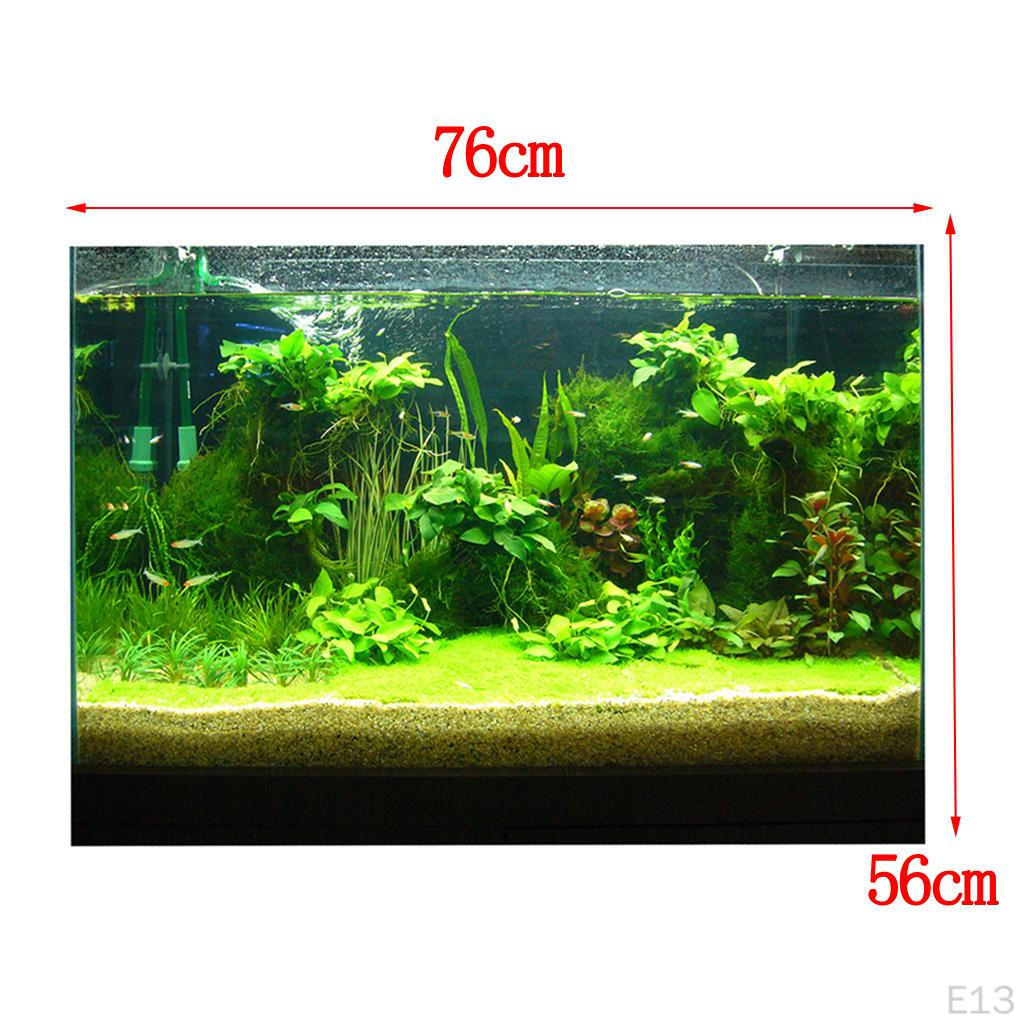 Sfondo Poster Paesaggio Acquario