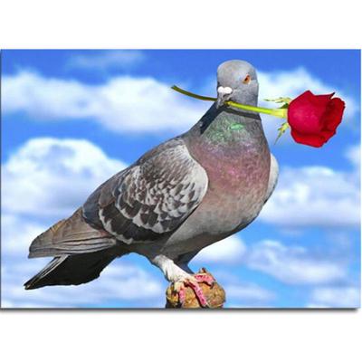 Completo 5D Diy Pintura Diamante Animal Dos Desenhos Animados Pombo Bordado Ponto Cruz Decoração de Casa Presente Feito à Mão