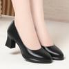 Jiuzhan Formal Work Shoes Black Versatile Tooling High Heels with Suit Leather Shoes Single Shoes Interview Women's Shoes