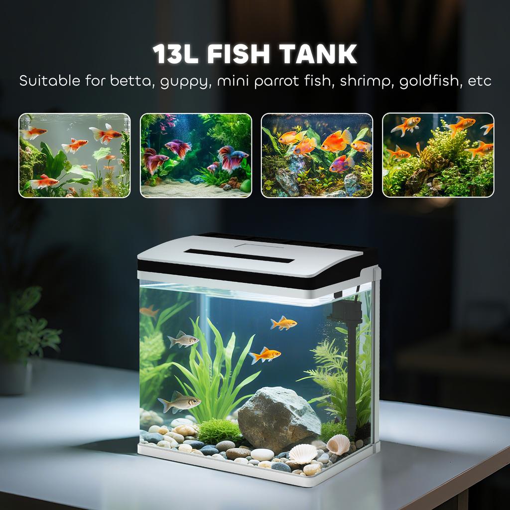 13L Glass Aquarium Fish Tank with Filter, LED Lighting, for Betta, Guppy, Mini Parrot Fish, Shrimp, 29 x 20 x 30.5cm