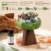 Wilderness Secret Scented Stone Diffuser Gift Set - Indoor Flameless Aroma Ornament for Holidays and Parties