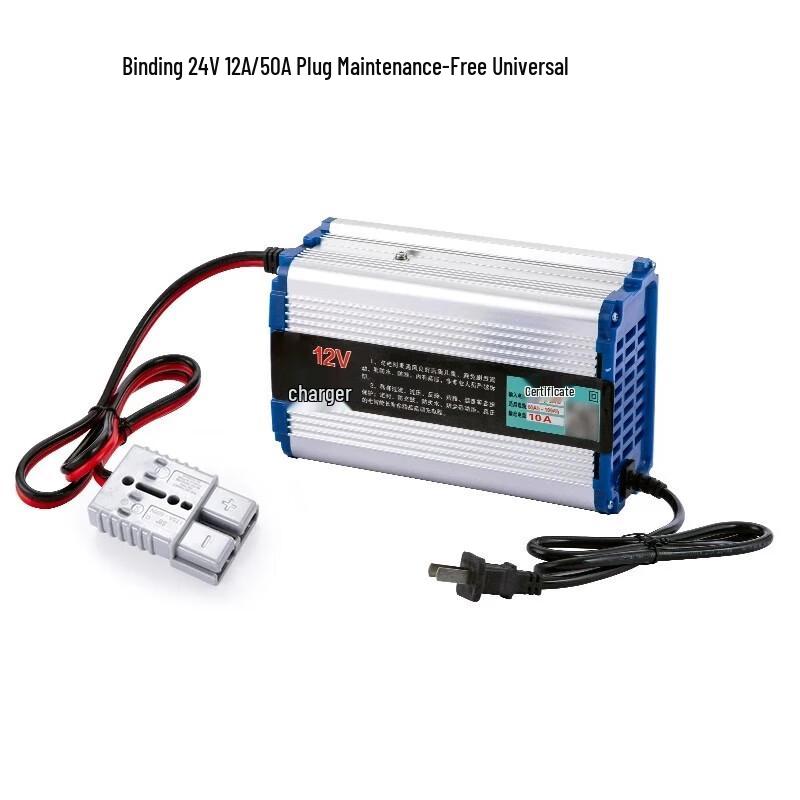 Bindin 24V Universal Electric Vehicle Charger