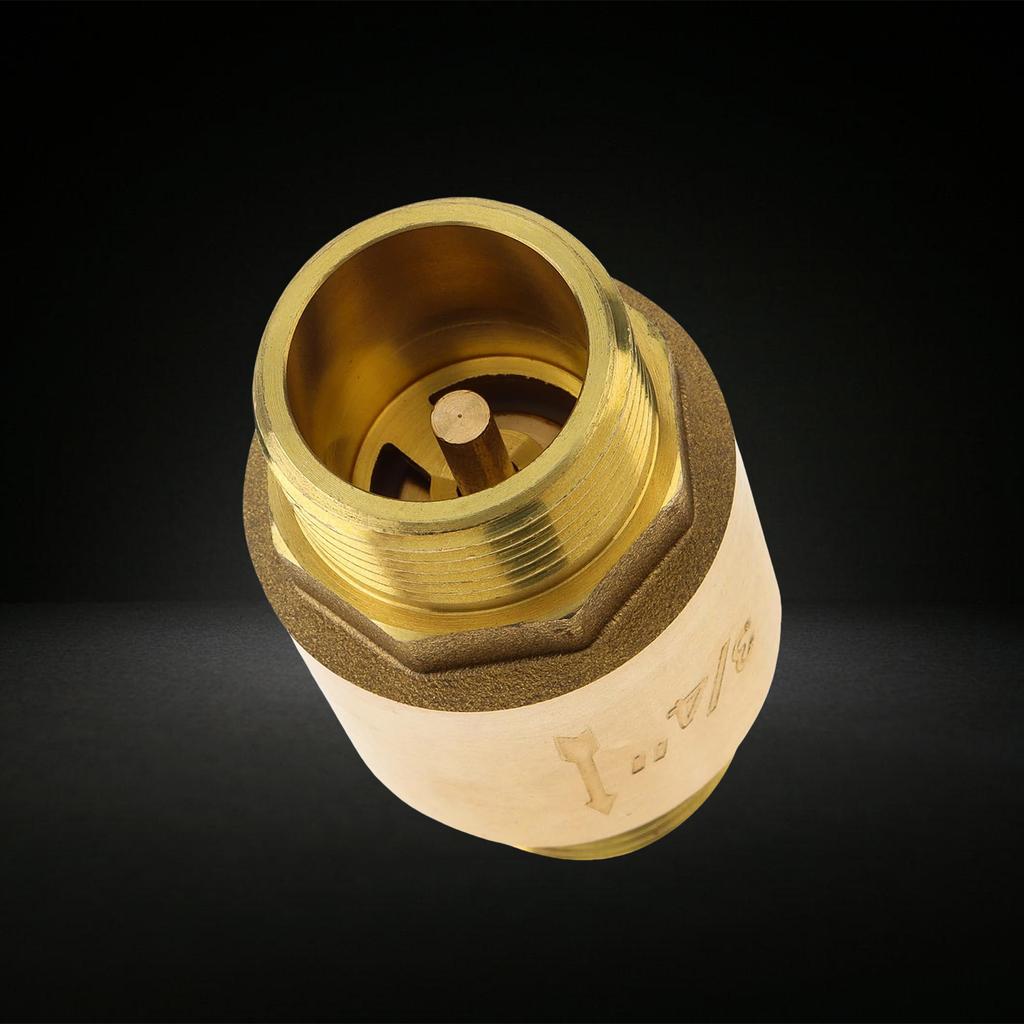 Practical Sturdy Brass Check Valves 3/4 Inch Male To Female One Way Horizontal In Line Spring Design for Well Pump Tank