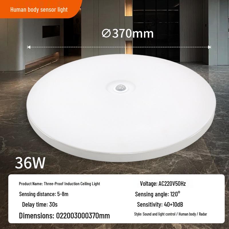 Ultra-thin Radar Induction Ceiling Light: Voice and Motion Activated for Stairwells and Corridors, Waterproof and Dustproof