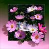 5D Diy Diamond Painting Flower Landscape Rhinestone Embroidery Mosaic Animal Cow Art Painting Cross Stitch Home Decoration Gift
