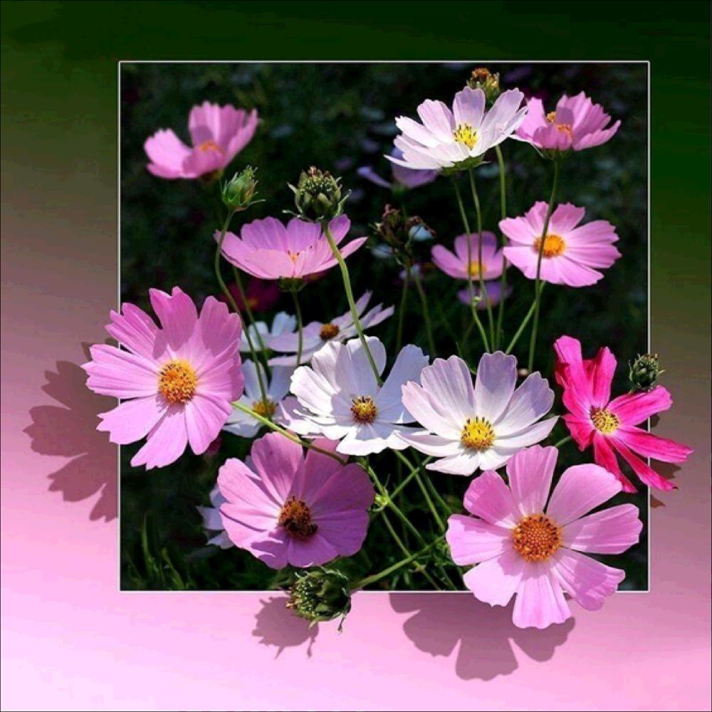 5D Diy Diamond Painting Flower Landscape Rhinestone Embroidery Mosaic Animal Cow Art Painting Cross Stitch Home Decoration Gift