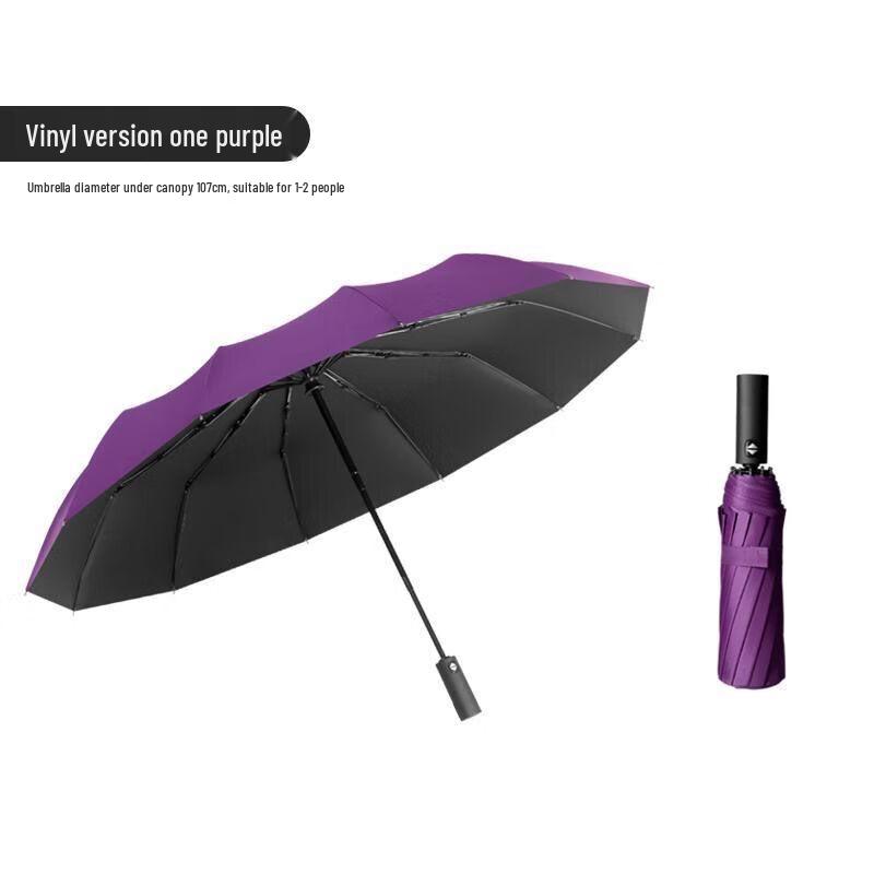 Automatic 10-Rib UV Protection Large Sun & Rain Umbrella