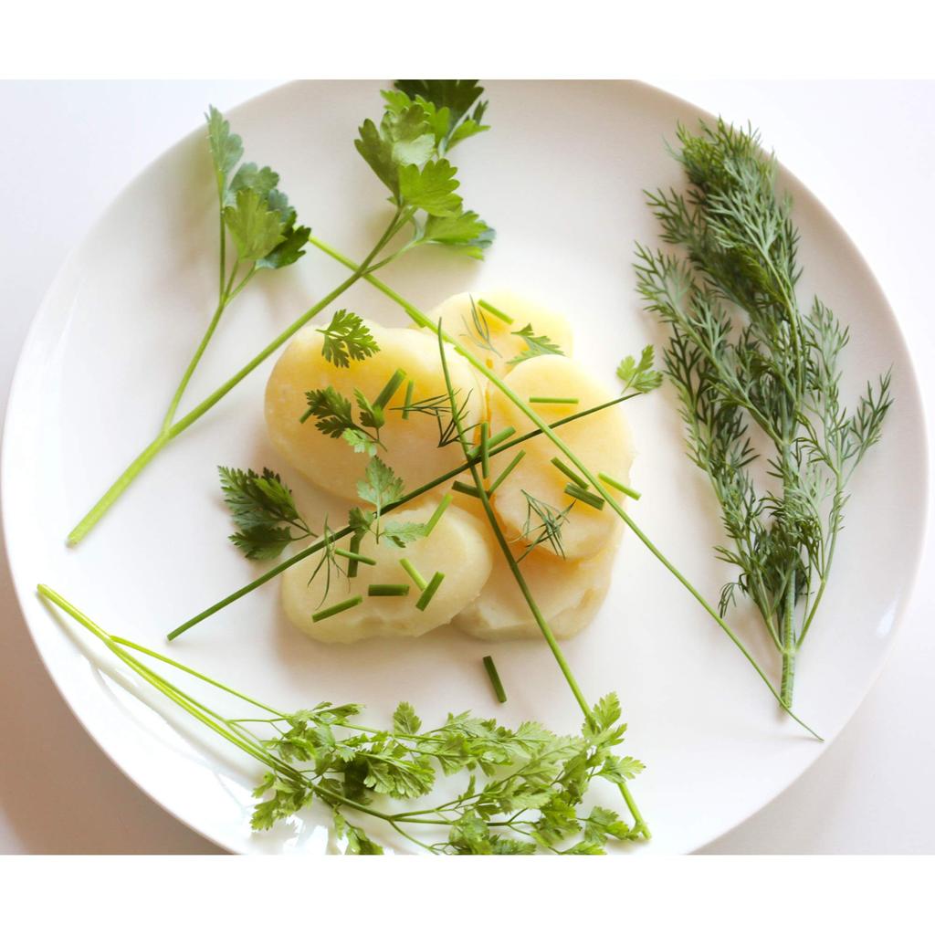 Michel BRAS Kitchen Scissors Small