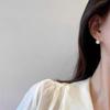 Pearl Zircon Niche High-end Light Luxury Earrings Ins Style Designer Earrings Simple and Versatile