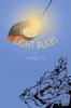 Light Bulbs by A Phillips Paperback Book 9781398403598